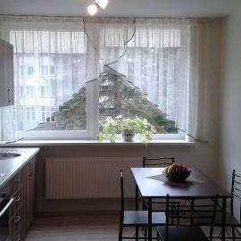 Butų nuoma Šilutėje，希盧泰的飯店