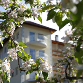Residenze Mathilda, hotel en Silandro