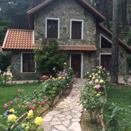 Rose Garden Platres, Hotel in Platres