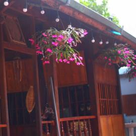 Pu Home Đỗ Quyên (Homestay Đỗ Quyên), hotel in Bản Hon