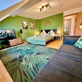 Dschungel Wohnung, geräumig, Netflix, Sonos, zentral, hotel a Duisburg