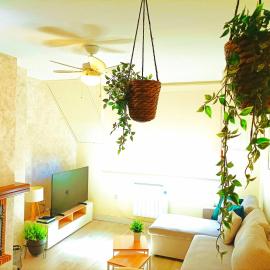 Apartamento Alba