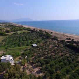 Ktima Bilionis
