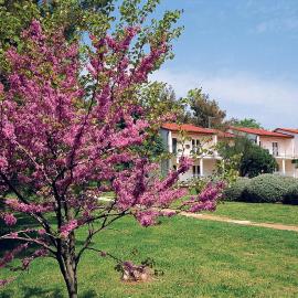 Ai Pini Medulin Resort – hotel w Medulinie
