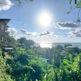 Cotinga Nest - King Bed, Ocean View