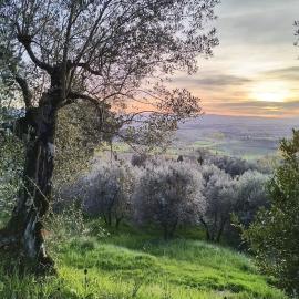 Il Cestino di Ciliegie, hotel sa Certaldo