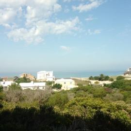 Pamela's View