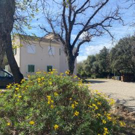 U FARNIENTE, hotel a Patrimonio