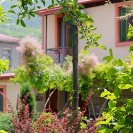 Royal Edena, hotell sihtkohas Ambrolauri