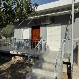 Lakeside Escape