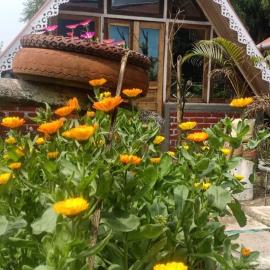 Cheeyabari Oaks Homestay, Hotel in Sonāda