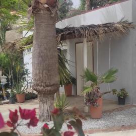 Guesthouse Sleeps 2 - Pool Access