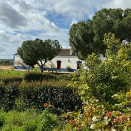Herdade das Pintas, hotel a Monforte