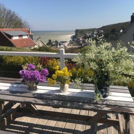 La Falaise Bleue - Vue mer - Plage à pied