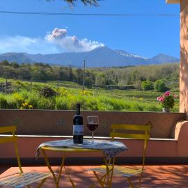 Tenuta Kiwi dell’Etna, hotel en Milo