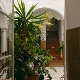 Hostal Africa, hotel in Tarifa