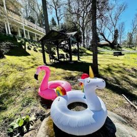Creekside Suite Sleeps 2 Creek frontage Bbq