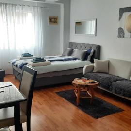 Apartman Andrić