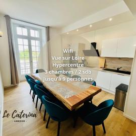 Le Caterina - T4 entre Loire et Château Royal - Manoir de la Concorde, hotel en Amboise