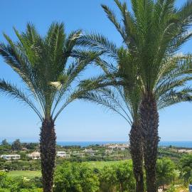 카사레스에 위치한 호텔 Apartament Golf Finca de Cortesin