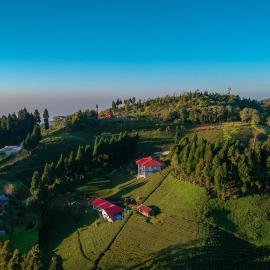 The Ridge Homestay