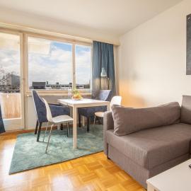 Bright Apartment with Balcony near Messe - Special BLUE TIGER Apartment, Basel, up to 4 guests, hotel sa Basel