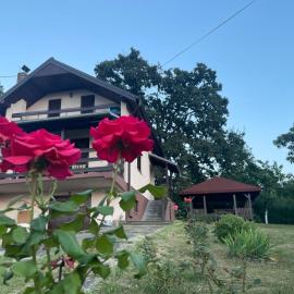 Vila Plavinac