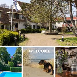 Hotel De Torenhoeve, hotel din Burgh Haamstede