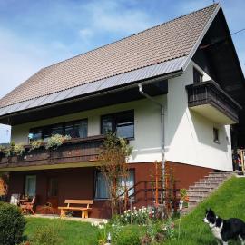 Apartma Andrej