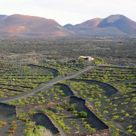 Casa Rural Vega de Timanfaya, hotel u gradu 'Uga'