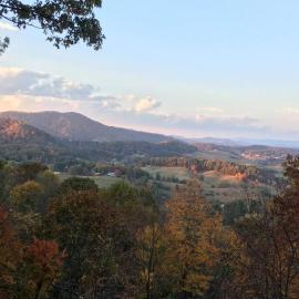 Top of the Line Asheville Mountain Cabin, hotel u gradu Leicester