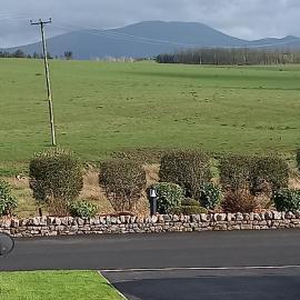 Green Dream, hotel in Cockermouth