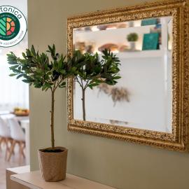 Oikia Eleanthi - Beachfront Garden Home!: Mitikas şehrinde bir otel