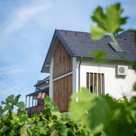 Domaine Edegger - Organic Winery Badacsony, hotel a Badacsonytomaj