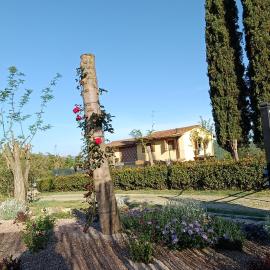 CASA ORNETO, hotel in Poggibonsi