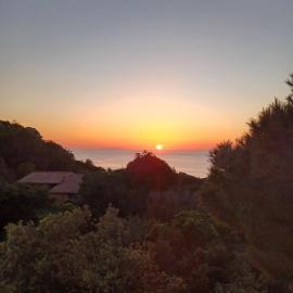 Villa La Lecceta surrounded by greenery and sea view with sunset