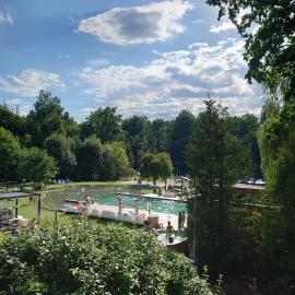 Enklawa Białowieska Forest & Spa, hotell sihtkohas Hajnówka