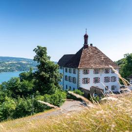 Schloss Freudenfels, hotel v destinácii Eschenz