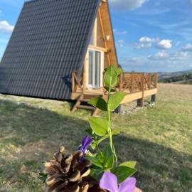 Vikendica "Koliba kraj puta", Hotel in Divčibare