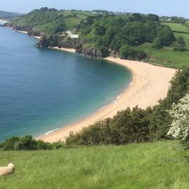 Seaview Nest, hotel Stoke Flemingben