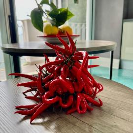 Enrica Guarda Capri - Appartament, hotel i Conca dei Marini