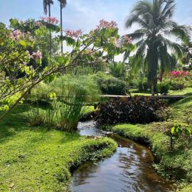Casa Yami Lodge