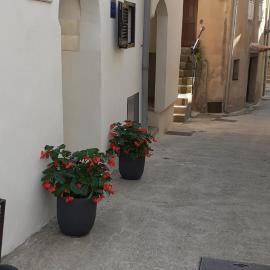 Old Town Lux