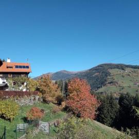 FW Schnuckel in 300a Altem Bergbauernhaus 1110m, hotelli kohteessa Plessnitz