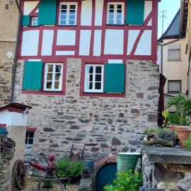 Ferienhaus Am Moselstausee
