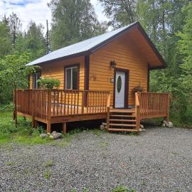 Talkeetna Fireweed cabin 2, отель в городе Талкитна