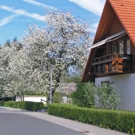 Ferienwohnung Am Schlosspark