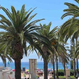 Primera línea de MAR con jardín