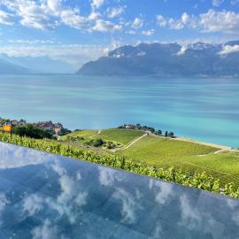 Baron Tavernier Hotel Restaurant & SPA, hotel i Chexbres