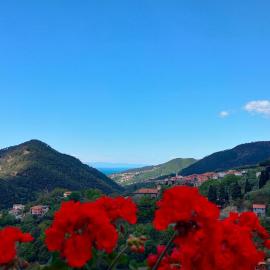 Camera tra le Cinque Terre, Camogli e Portofino. Vista valle e scorcio mare all'orizzonte، فندق في Castiglione Chiavarese